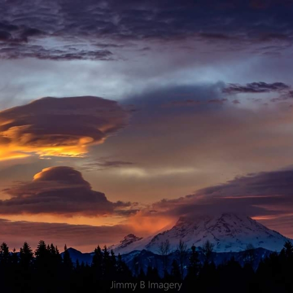 Meet your Posher, Terri - Picture 1 of 1